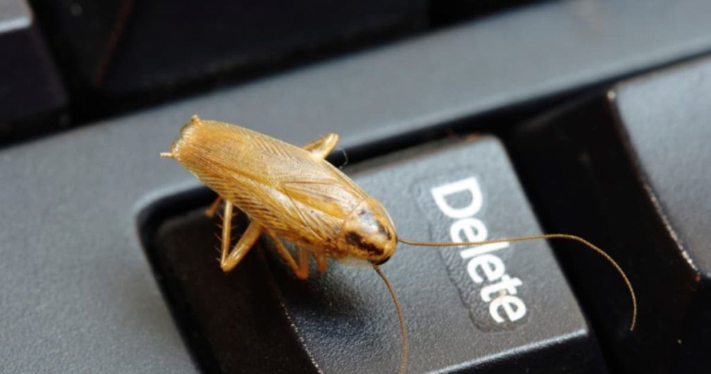 Уничтожение тараканов в офисе в Бийске